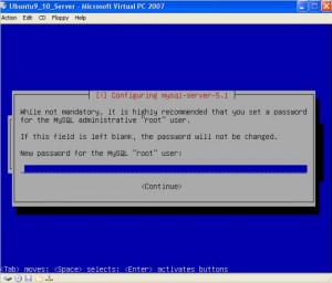 Select MySQL Password