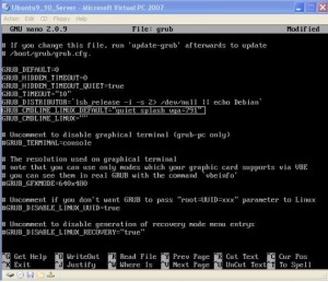 Add "vga=791" at the end of the line