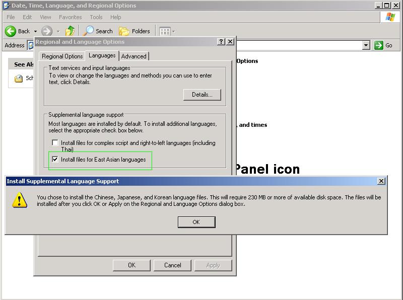 Install File For East Asian Language 20