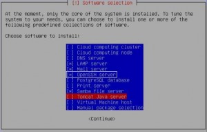 install ssh server with Ubuntu