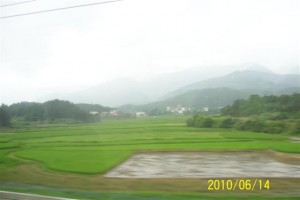 Chinese Country Side