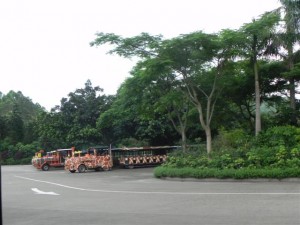 Animal Safari Tram